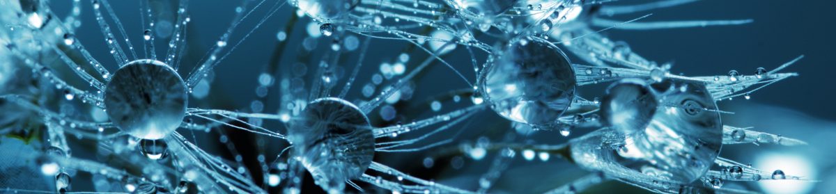 Simple Science – Special Service